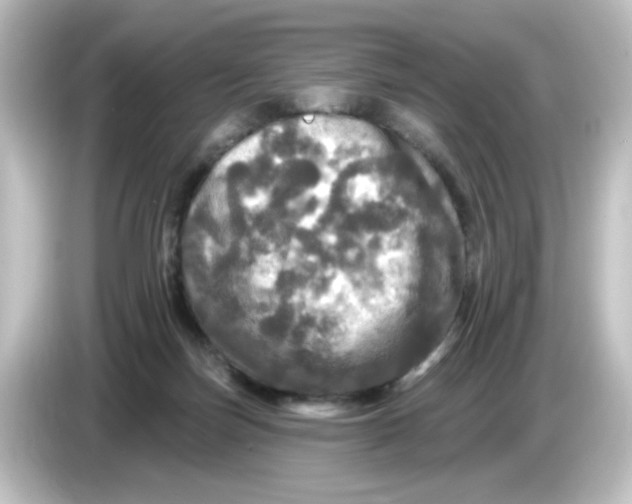 X0000084560171200703161711