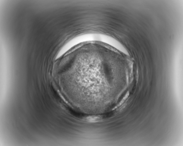 X0000084560172200703161711