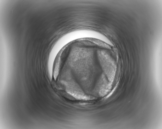 X0000084560174200703161711