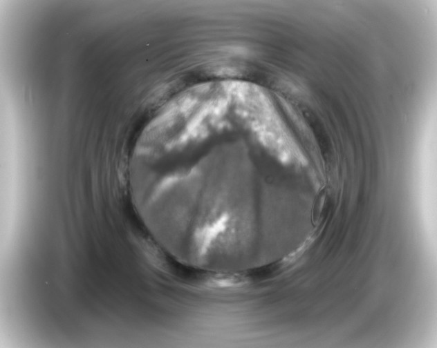 X0000084560175200703161711