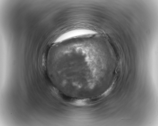 X0000084560178200703161711