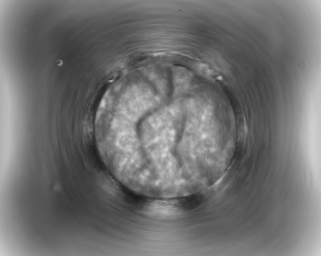 X0000084560179200703161711