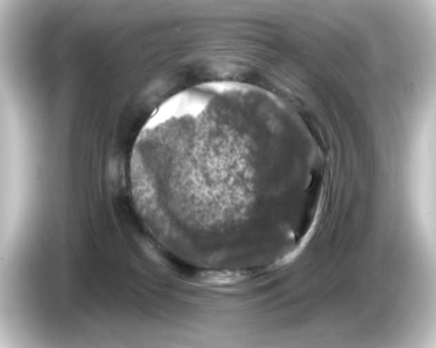 X0000084560182200703161711