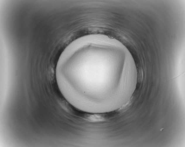 X0000084560183200703161711