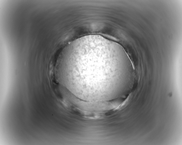 X0000084560184200703161711