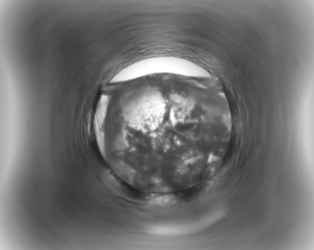 X0000084560185200703161711