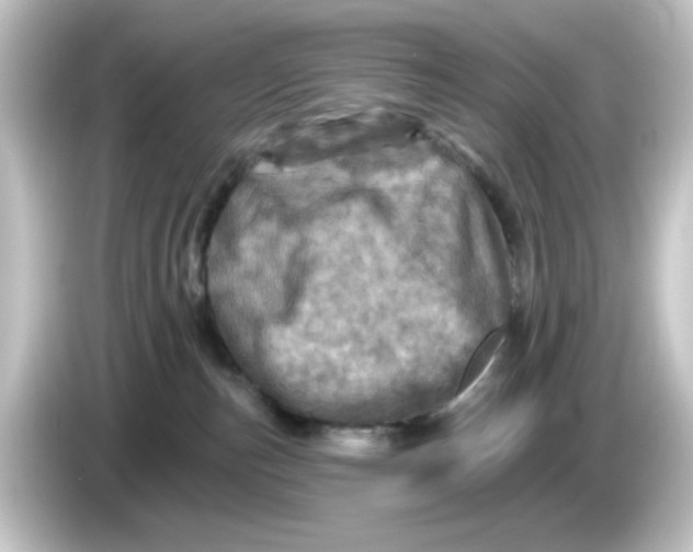 X0000084560187200703161711