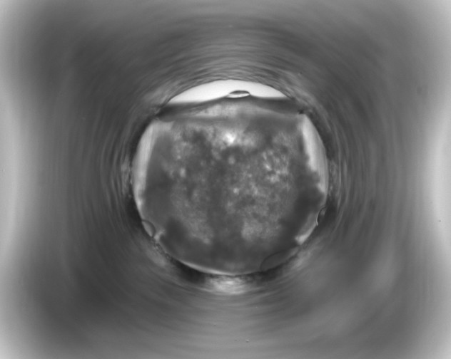 X0000084560189200703161711