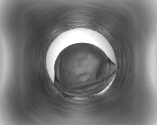 X0000084560190200703161711