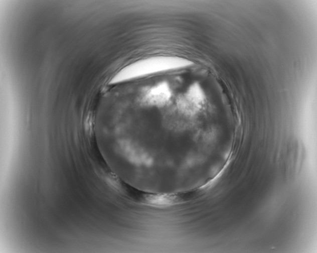 X0000084560191200703161711