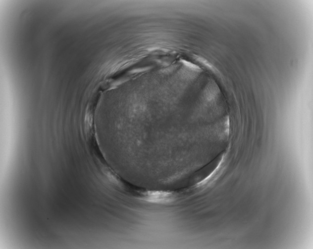 X0000084560192200703161711