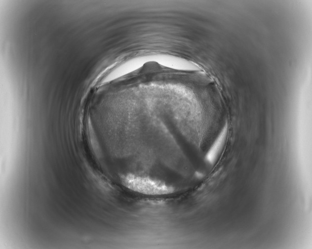 X0000084560194200703161710