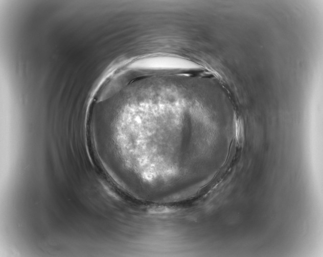 X0000084560195200703161710