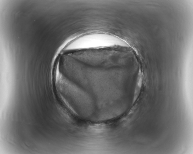 X0000084560196200703161710