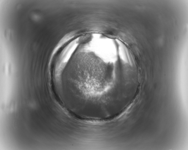 X0000084560198200703161710