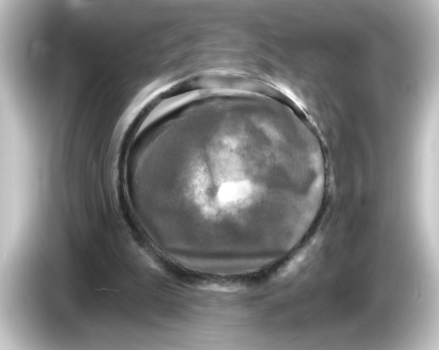 X0000084560199200703161710