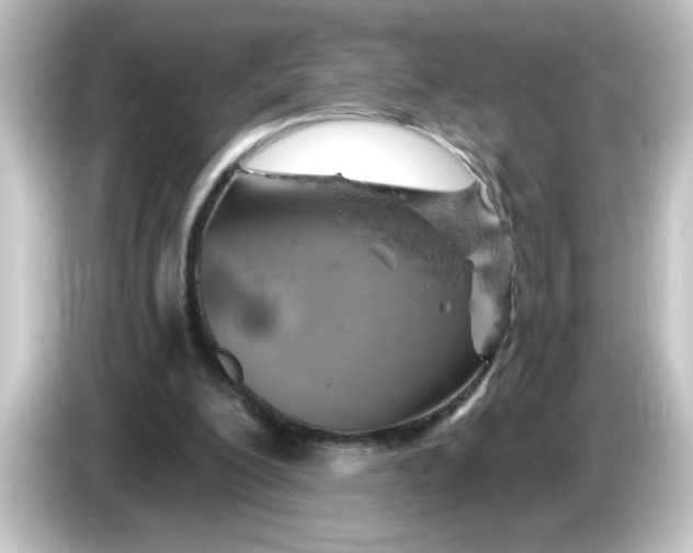 X0000084560200200703161710