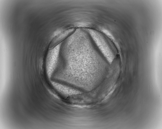 X0000084560201200703161710