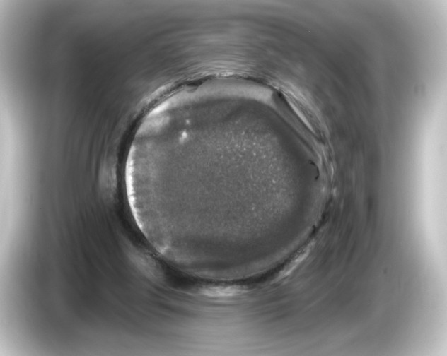 X0000084560202200703161710