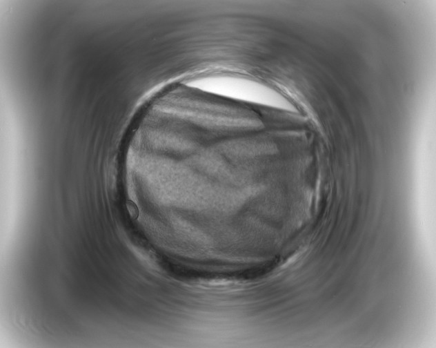 X0000084560204200703161710