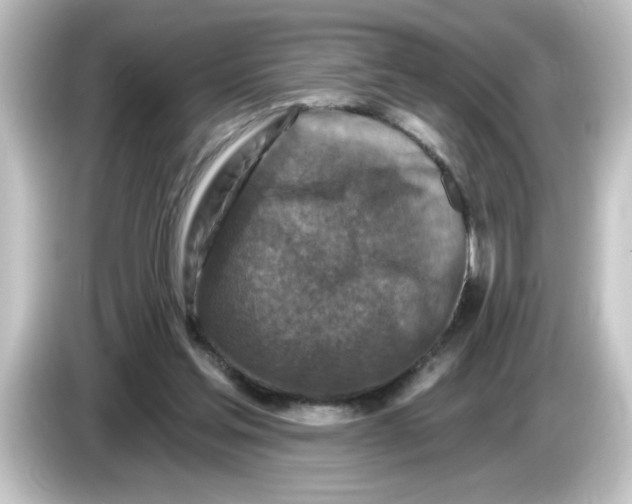 X0000084560205200703161710