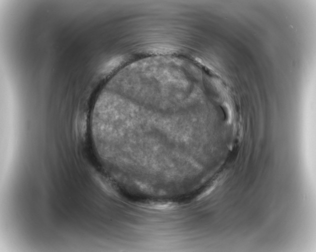 X0000084560206200703161710