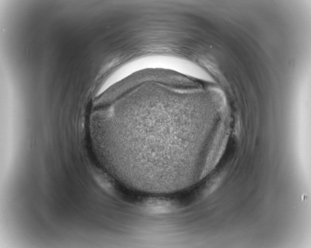 X0000084560207200703161710