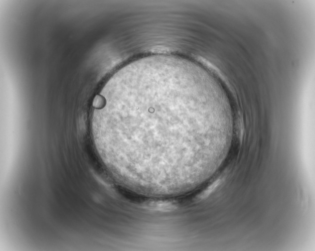 X0000084560208200703161710