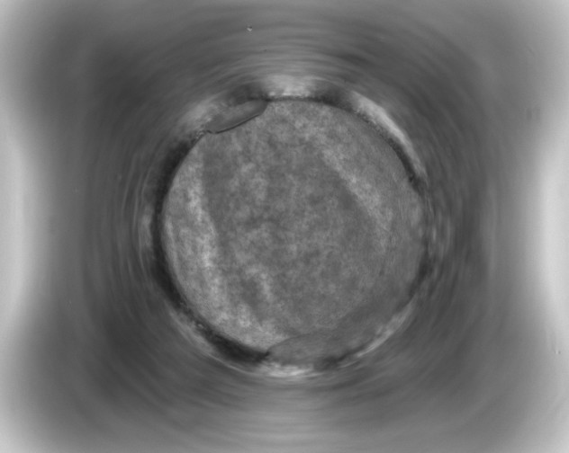 X0000084560209200703161710