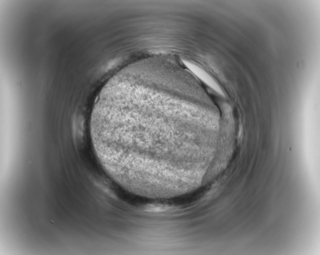 X0000084560211200703161710