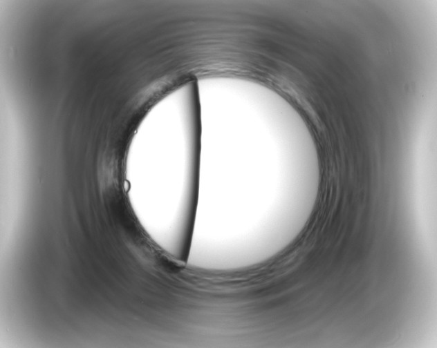 X0000084560212200703161710