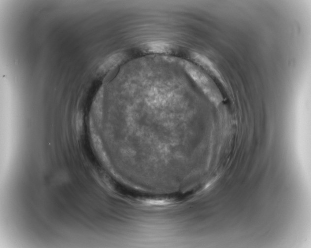 X0000084560213200703161710