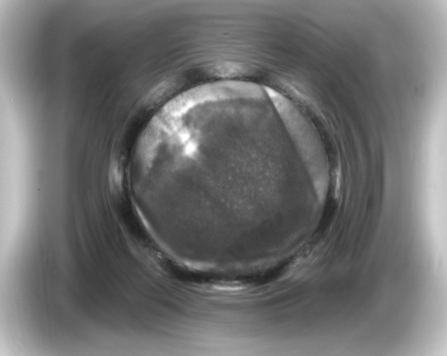 X0000084560214200703161710