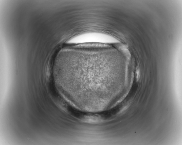 X0000084560215200703161710