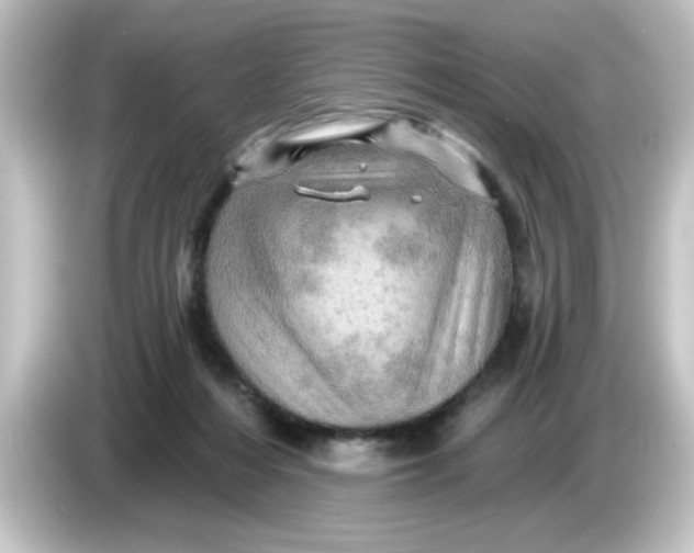 X0000084560216200703161710