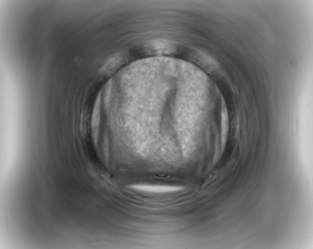 X0000084560218200703161710