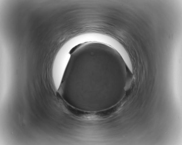 X0000084560219200703161710