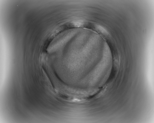 X0000084560221200703161710