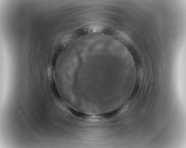 X0000084560222200703161710