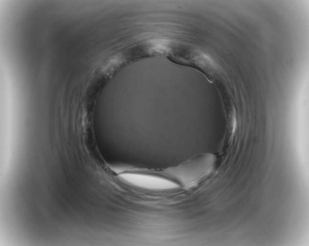 X0000084560223200703161710