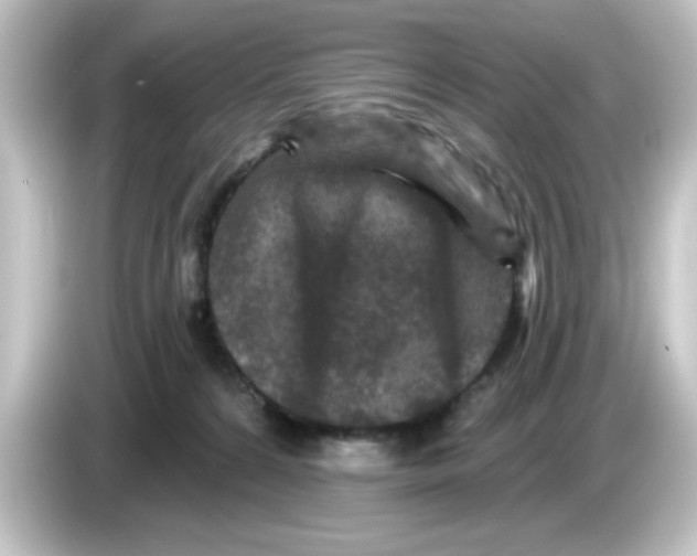 X0000084560224200703161710