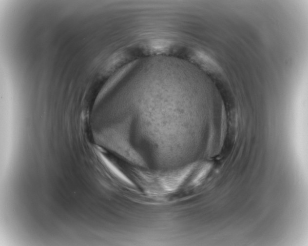 X0000084560225200703161710