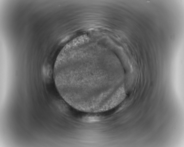 X0000084560228200703161710