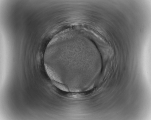 X0000084560229200703161710