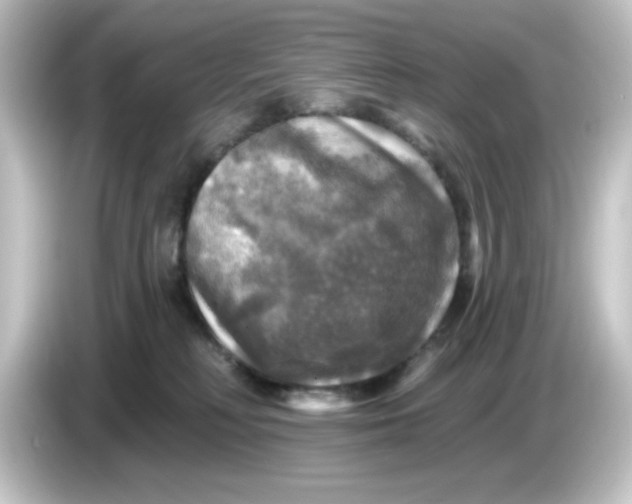 X0000084560230200703161710