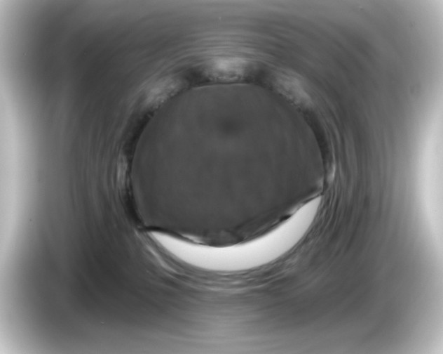 X0000084560231200703161710