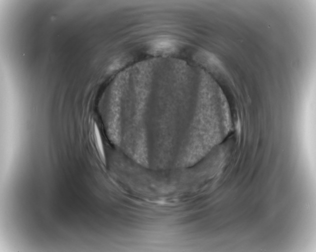 X0000084560232200703161710