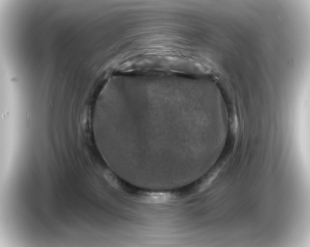 X0000084560233200703161710