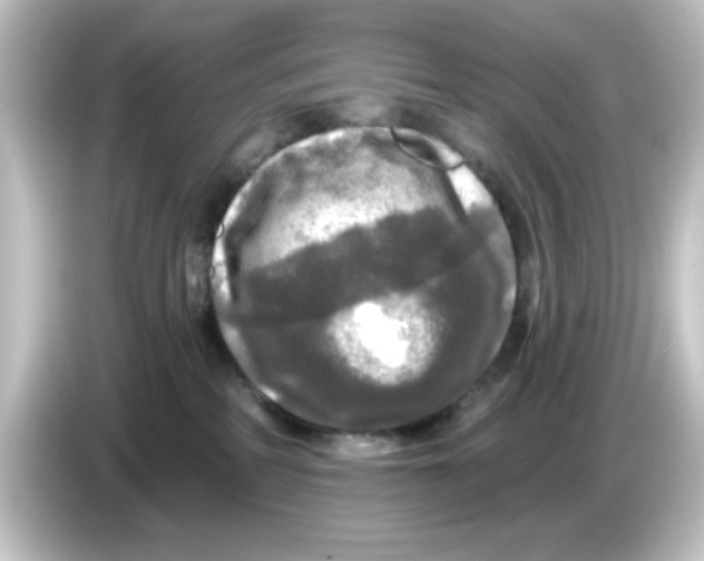 X0000084560234200703161710