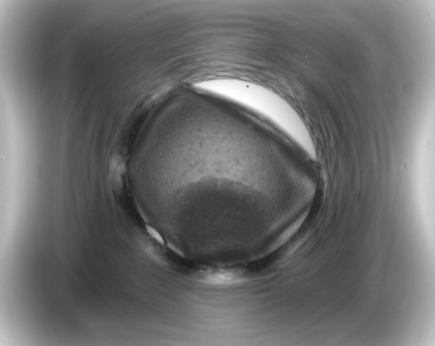 X0000084560235200703161710